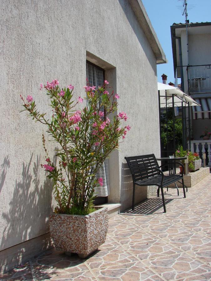 Maison d'hôtes Viktor And 3*